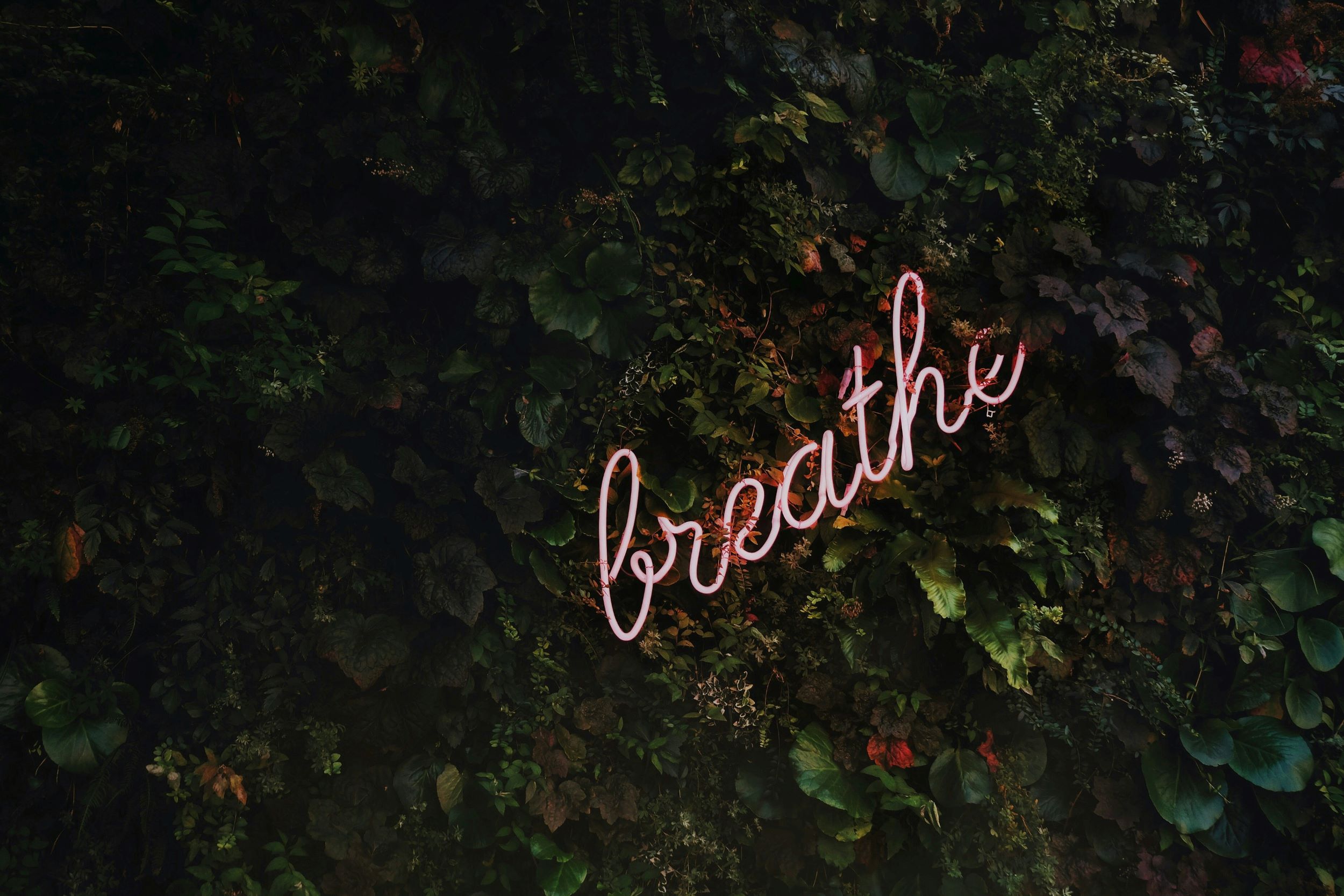 Breathe - how to save your dday and how to fix a bad day with help of day reset