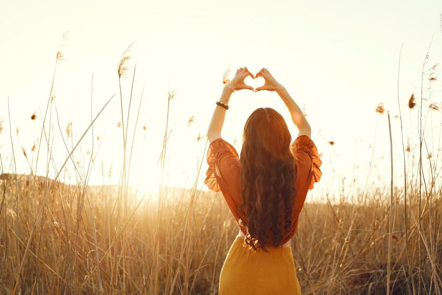 Go through the personal values list and figure out what are my core values and especially how to identify your core values.