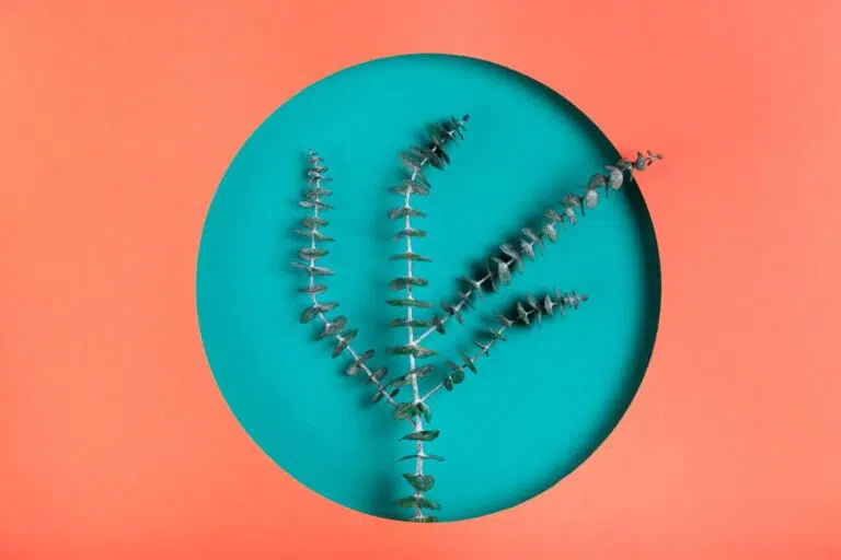 Learn how to build emotional resilience and how to be emotionally resilient with tips and tricks wound in this article from selfhealings.