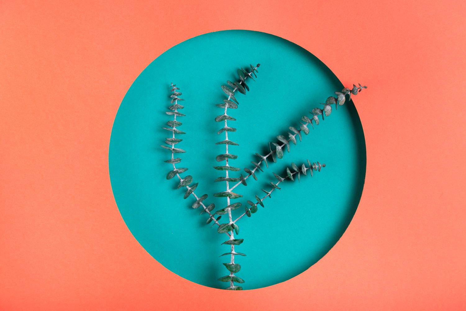 Learn how to build emotional resilience and how to be emotionally resilient with tips and tricks wound in this article from selfhealings.