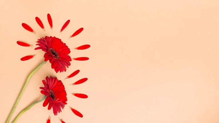 If you've been wondering how to start healing, where do i start healing, how do i start healing etc. this article and our blog selfhealings will help you. You can start small and you'll see how fast your life changes.