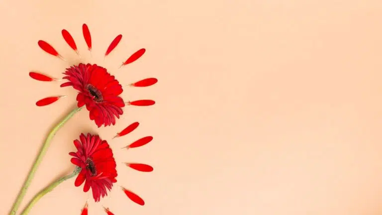 If you've been wondering how to start healing, where do i start healing, how do i start healing etc. this article and our blog selfhealings will help you. You can start small and you'll see how fast your life changes.