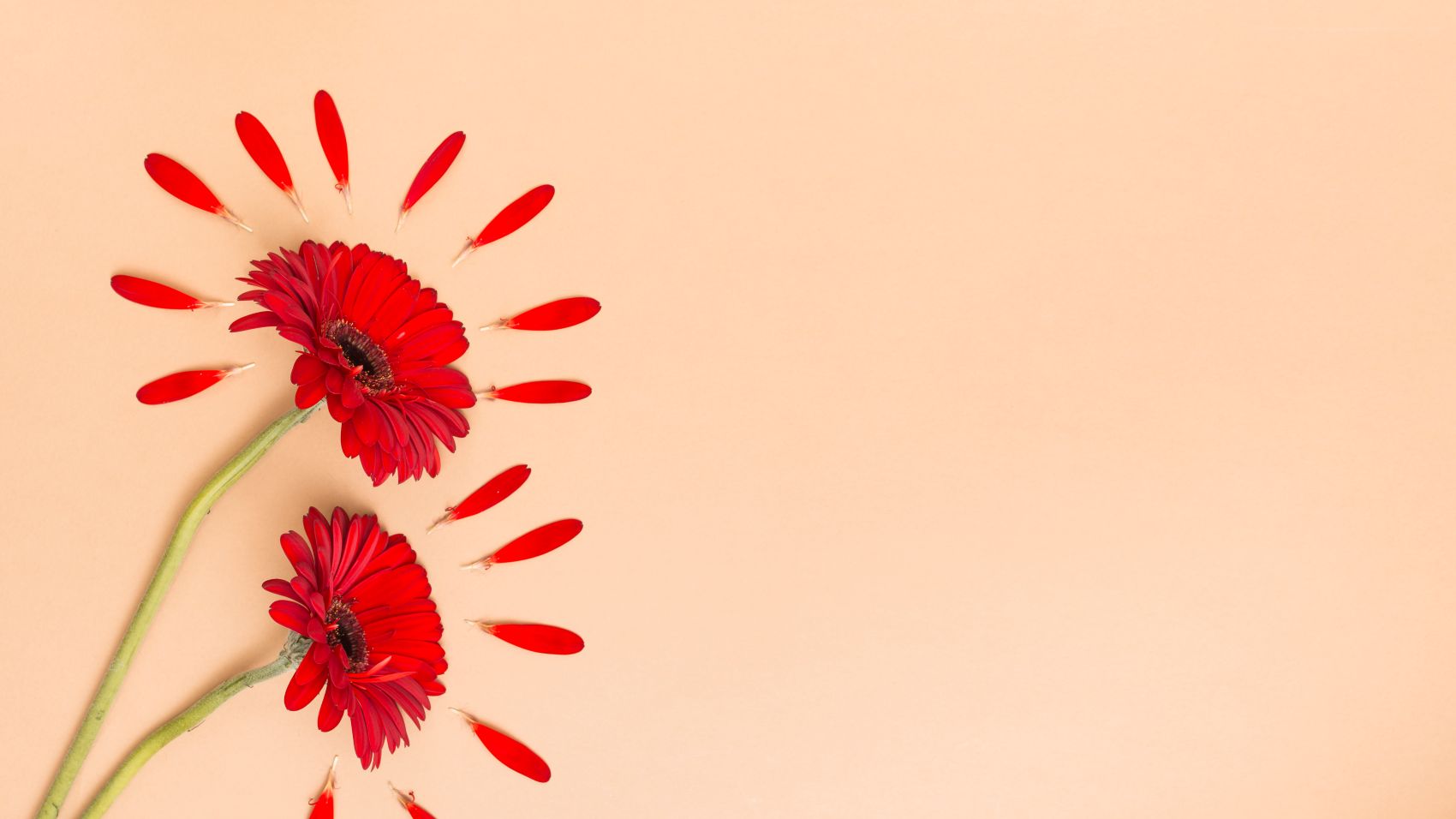 If you've been wondering how to start healing, where do i start healing, how do i start healing etc. this article and our blog selfhealings will help you. You can start small and you'll see how fast your life changes.