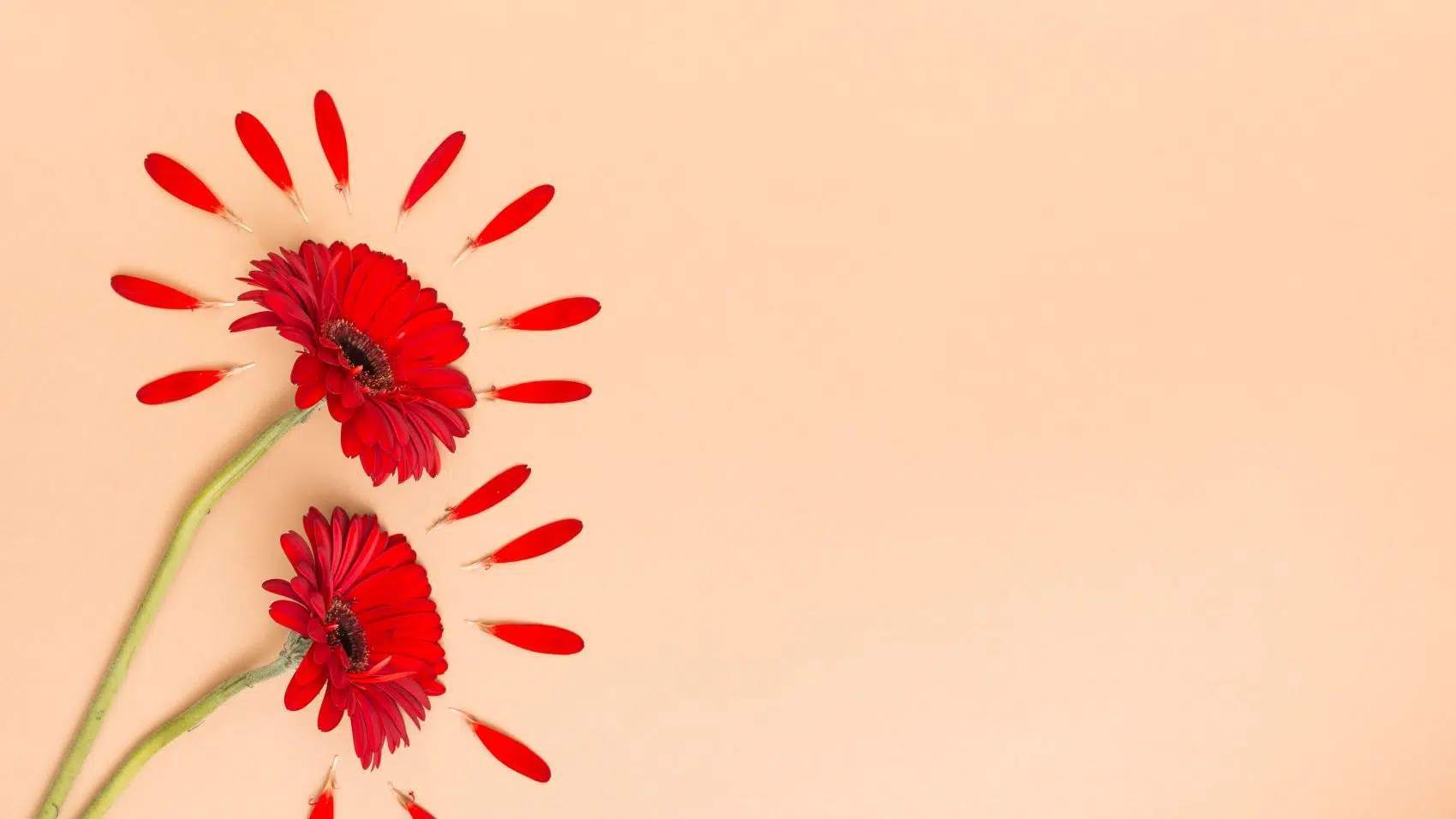 If you've been wondering how to start healing, where do i start healing, how do i start healing etc. this article and our blog selfhealings will help you. You can start small and you'll see how fast your life changes.